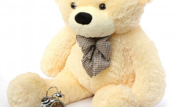 Teddy Bear HD