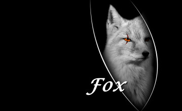 The Fox is Black Wallpaper