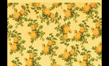 The Yellow Wallpapers Articles