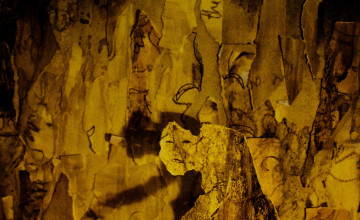The Yellow Wallpaper Medical Treatment
