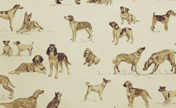 Thibaut Dog Wallpapers