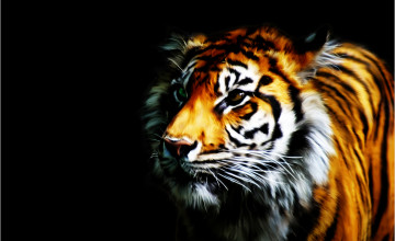 Tiger Background Pictures