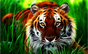 Tiger HD