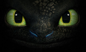 Toothless Wallpapers
