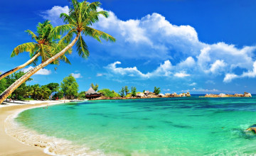 Tropical Backgrounds Wallpapers