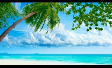 Tropical Beach HD Desktop Wallpaper