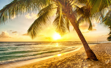 Tropical Beach Paradise Sunset Wallpapers