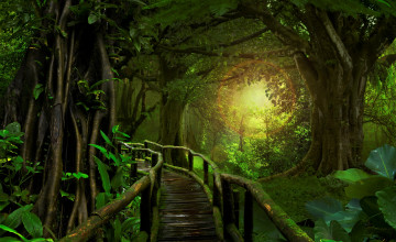 Tropical Forest 4k Wallpapers