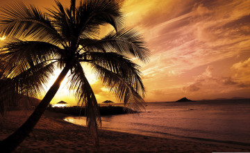 Tropical Island Sunset