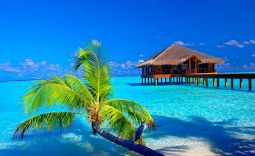 Tropical Paradise Wallpapers High Resolution
