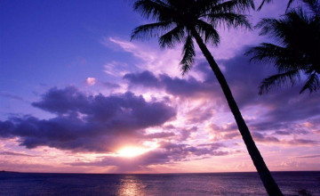 Tropical Sunset Wallpaper Desktop