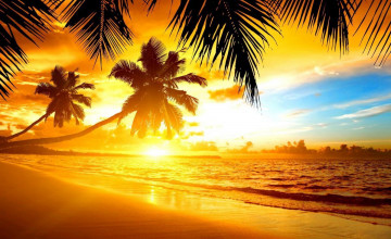 Tropical Sunsets Wallpapers