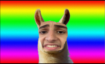 Twaimz Wallpapers