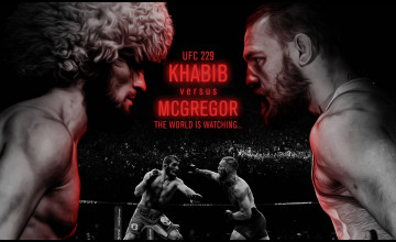 UFC 229 Wallpapers