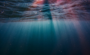 Underwater 4k Wallpapers