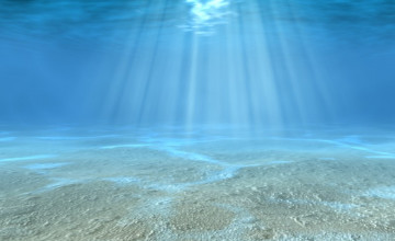 Underwater Scenes Desktop Wallpapers