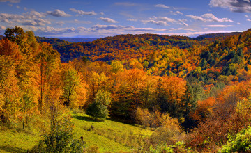 Vermont Autumn Backgrounds Wallpapers