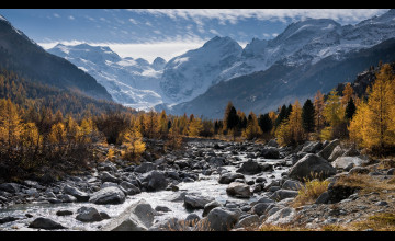 View Wallpapers