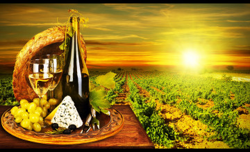 Vineyard and Wine Wallpaper