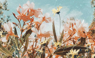 Vintage Aesthetic Wallpapers