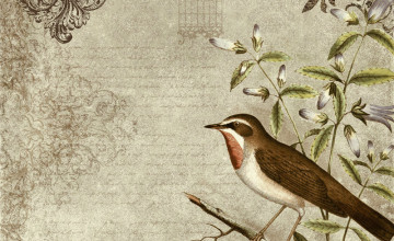 Vintage Bird Wallpapers