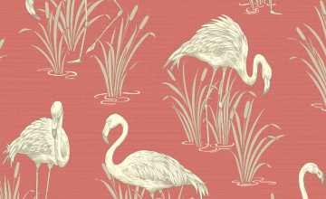 Vintage Flamingo Wallpapers