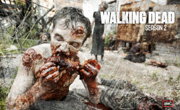 Walking Dead Zombie Wallpapers