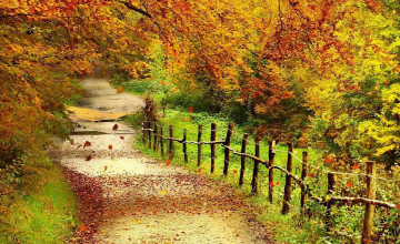 Wallpaper Autumn Scenery