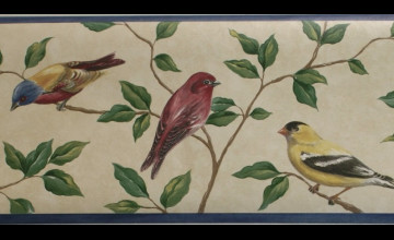 Wallpaper Border with Birds