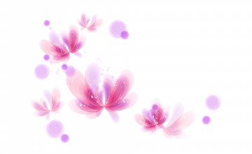 Wallpapers Butterfly Pink White