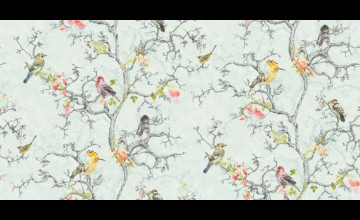 Wallpaper Designs with Birds