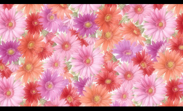 Wallpaper Flowers