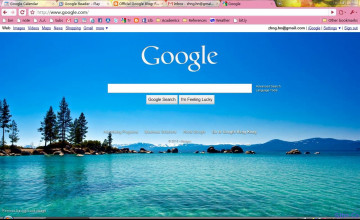  For Google Homepage