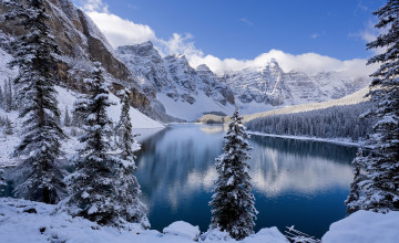 Wallpaper in Canada