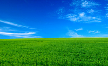 Wallpapers of the Day Desktop