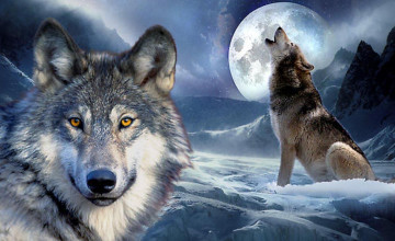 Wallpaper of Wolf Pictures 3D