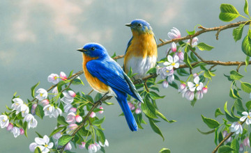 Wallpaper with Birds and Flowers