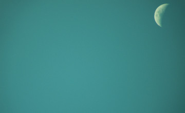 Wallpapers with Teal