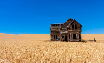  Abandoned Farmhouse