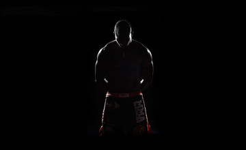 Wallpapers MMA