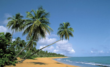 Wallpapers of Puerto Rico Beaches
