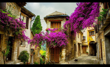 Wallpapers Provence