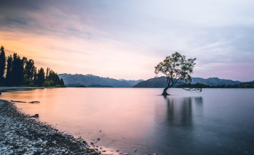 Wanaka Wallpapers