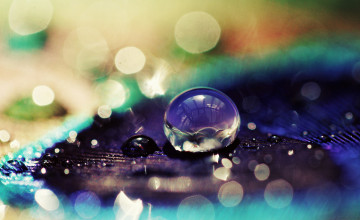 Water Droplets Wallpapers