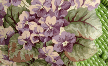 Waverly Sweet Violets Wallpaper Border
