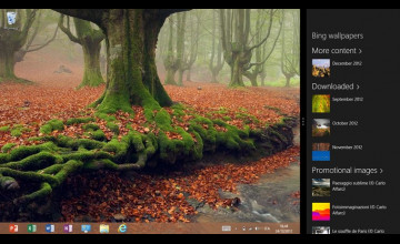Where Are Bing Wallpapers Stored