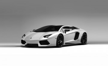 White Lamborghini