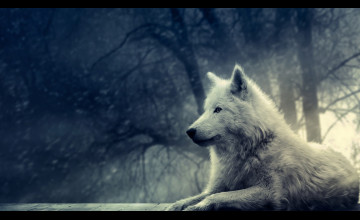 White Wolf HD