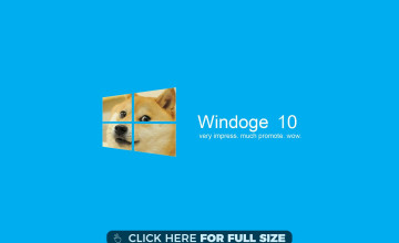 Free download Windoge 10 much improve so amaze wow 2560x1600 other