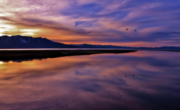 Windows Backgrounds Wallpapers